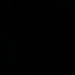 Meet your Posher, Devante